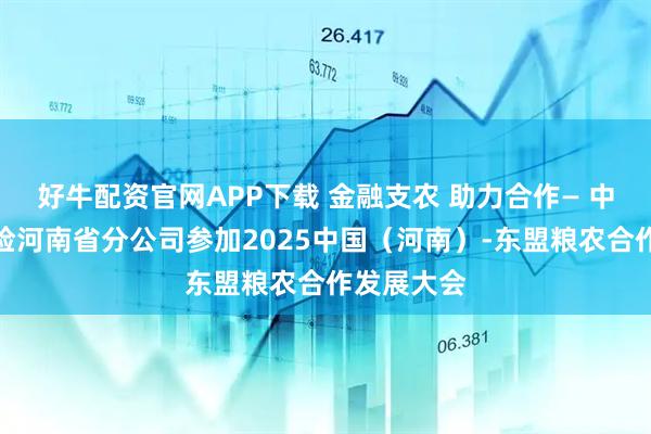 好牛配资官网APP下载 金融支农 助力合作— 中国人寿财险河南省分公司参加2025中国(河南)-东盟粮农合作发展大会