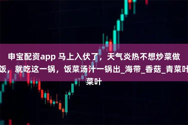 申宝配资app 马上入伏了，天气炎热不想炒菜做饭，就吃这一锅，饭菜汤汁一锅出_海带_香菇_青菜叶