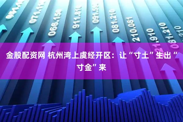 金股配资网 杭州湾上虞经开区：让“寸土”生出“寸金”来
