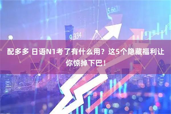 配多多 日语N1考了有什么用？这5个隐藏福利让你惊掉下巴！