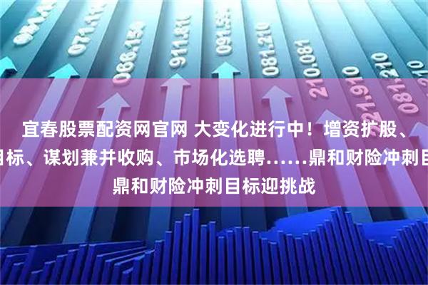 宜春股票配资网官网 大变化进行中！增资扩股、定100亿目标、谋划兼并收购、市场化选聘……鼎和财险冲刺目标迎挑战