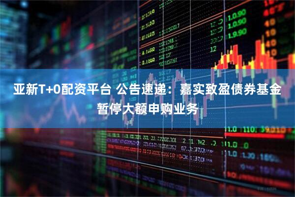 亚新T+0配资平台 公告速递：嘉实致盈债券基金暂停大额申购业务