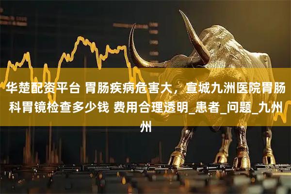 华楚配资平台 胃肠疾病危害大，宣城九洲医院胃肠科胃镜检查多少钱 费用合理透明_患者_问题_九州