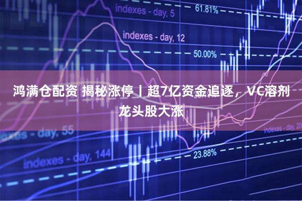 鸿满仓配资 揭秘涨停丨超7亿资金追逐，VC溶剂龙头股大涨